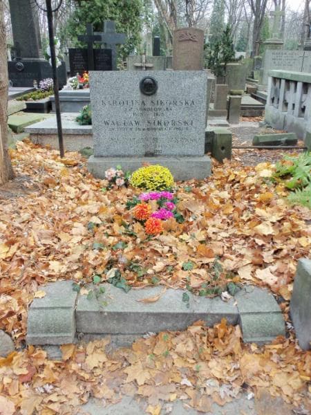 Zdjęcie grobu: Halina Romana Siedlanowska
