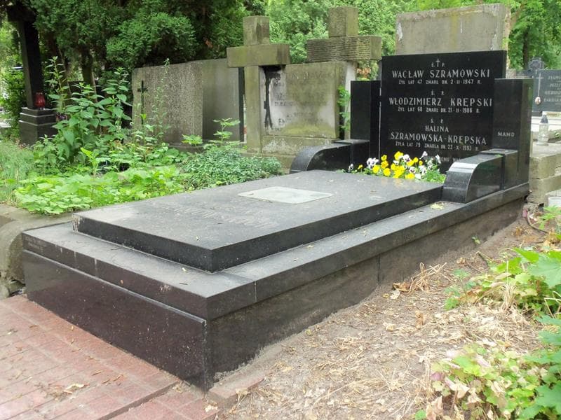 Zdjęcie grobu Włodzimierz Krępski (1)