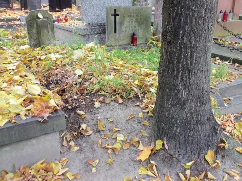 Zdjęcie grobu Pole Grobowe/anonim (1)