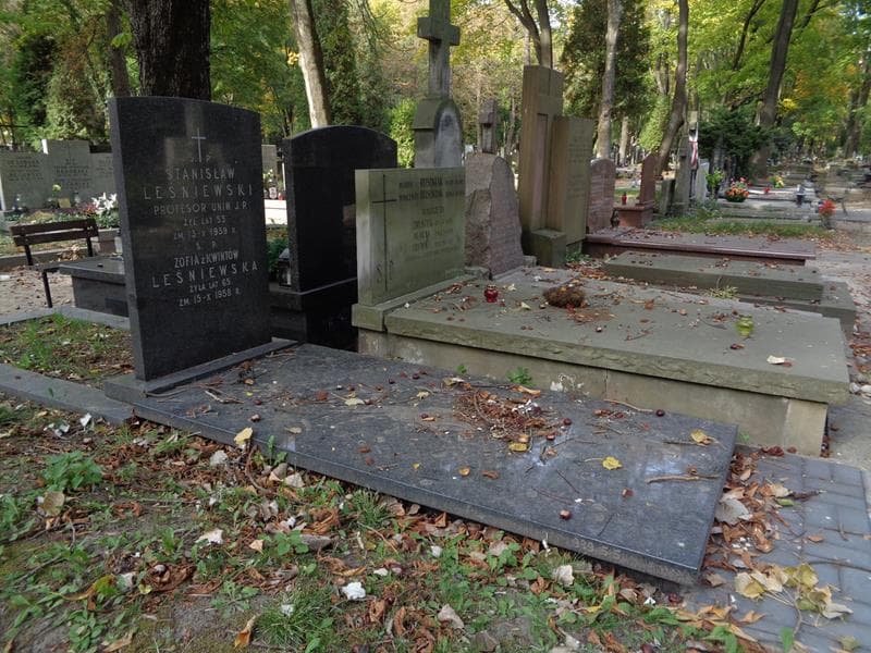 Zdjęcie grobu: Zofia Leśniewska