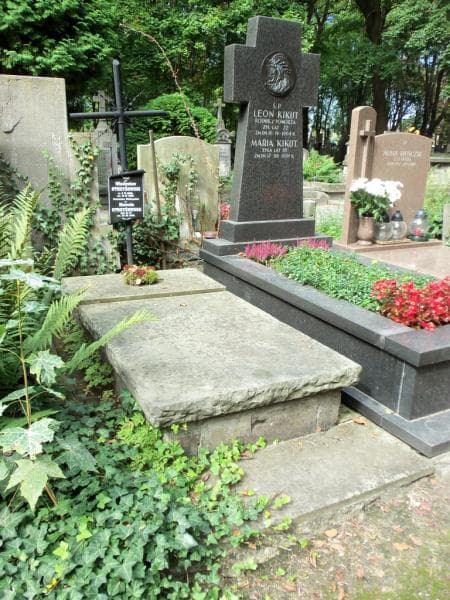 Zdjęcie grobu Władysław Strzyżowski (1)