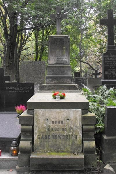 Zdjęcie grobu: Alfreda Strussowa