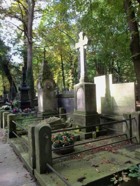 Zdjęcie grobu Zygmunt Pietraszewski (1)