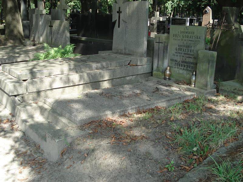 Zdjęcie grobu: Konstanty Gorayski