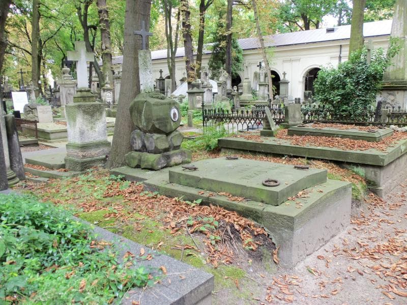 Zdjęcie grobu Ludwik Trzaska (1)