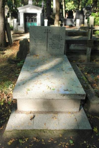 Zdjęcie grobu: Wincenty Leskiewicz