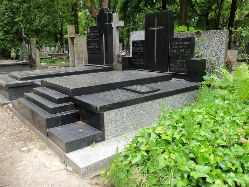 Zdjęcie grobu Stanisław Malewicz (1)
