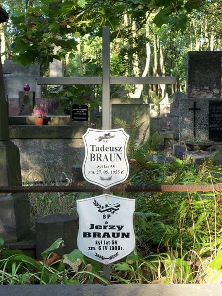 Zdjęcie grobu Tadeusz Braun (2)