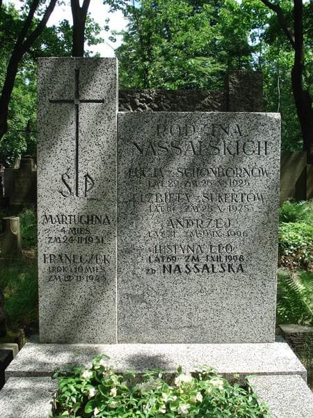 Zdjęcie grobu Justyna Leo (2)