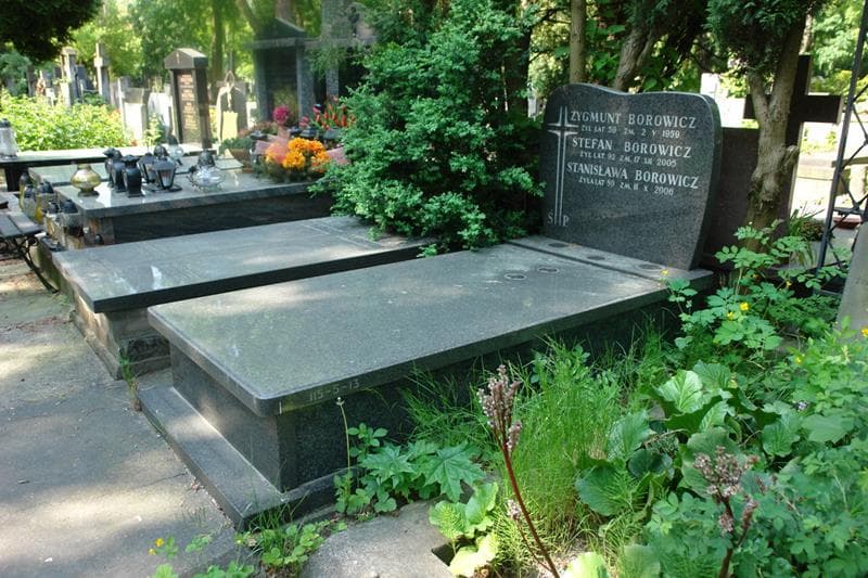 Zdjęcie grobu: Zygmunt Borowicz