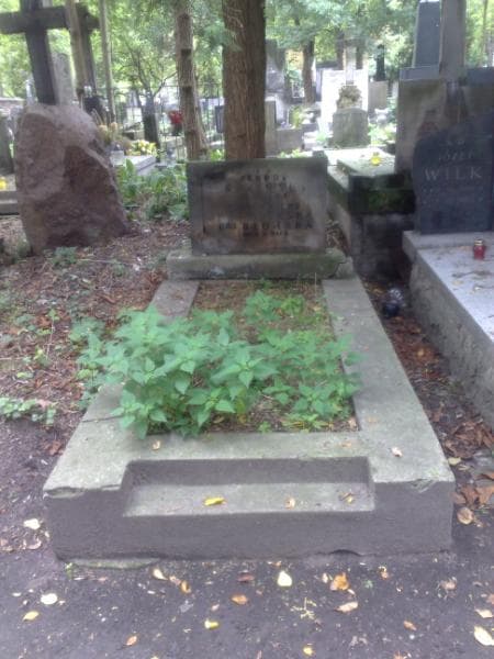 Zdjęcie grobu: Zofia Błońska