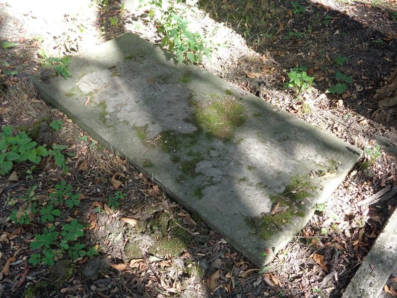 Zdjęcie grobu Adolf Czapski (2)