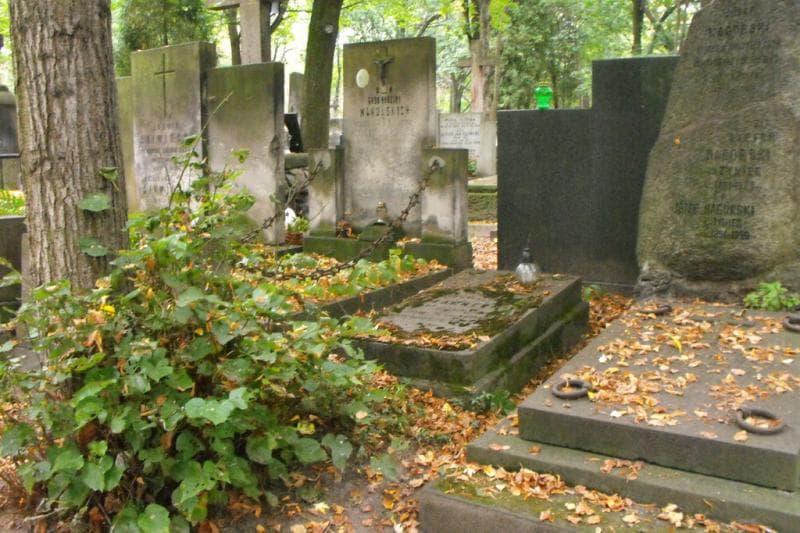 Zdjęcie grobu: Bronisława Czarnecka