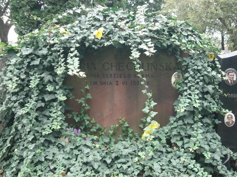 Zdjęcie grobu Maria Chechlińska (2)