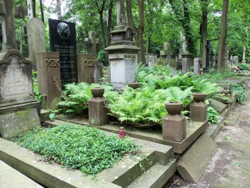 Zdjęcie grobu Bronisława Grabowska (1)