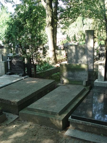 Zdjęcie grobu Jan Ogonowski (1)