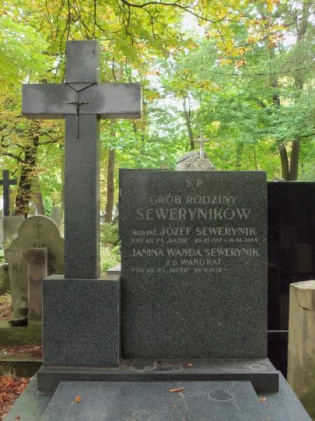 Zdjęcie grobu Józef Sewerynik (2)