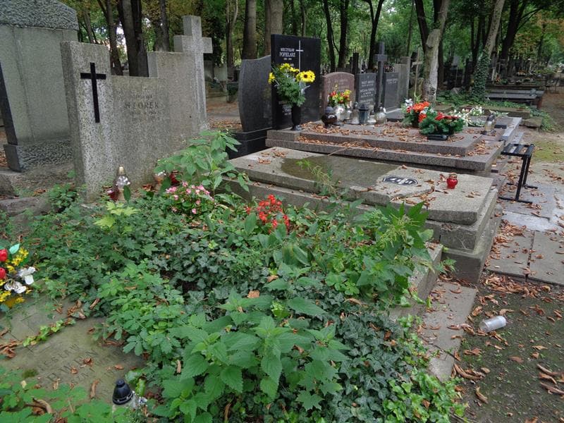 Zdjęcie grobu: Stanisława Wzorek