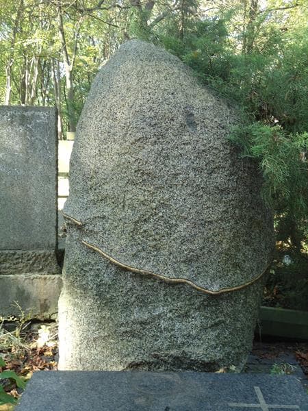 Zdjęcie grobu Waldemar Oriol (2)