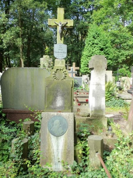 Zdjęcie grobu Mieczysław Marjan Jastrzębiec Srokowski (2)