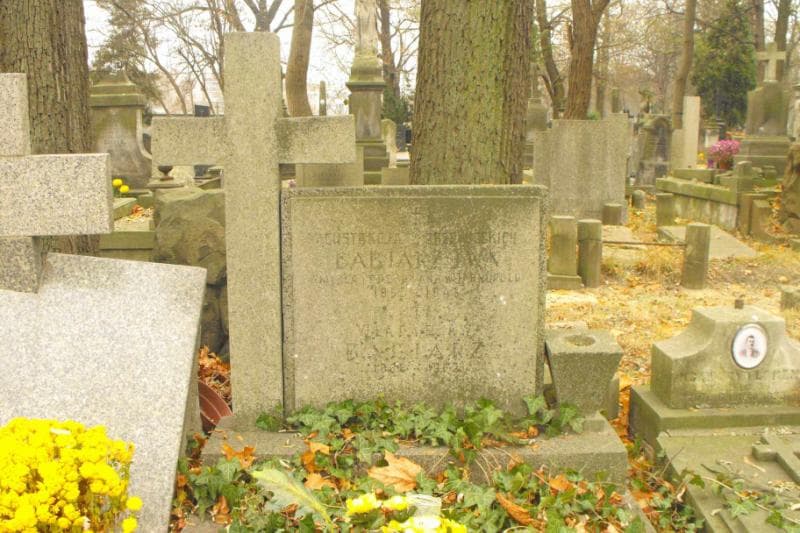 Zdjęcie grobu Władysław Babiarz (2)