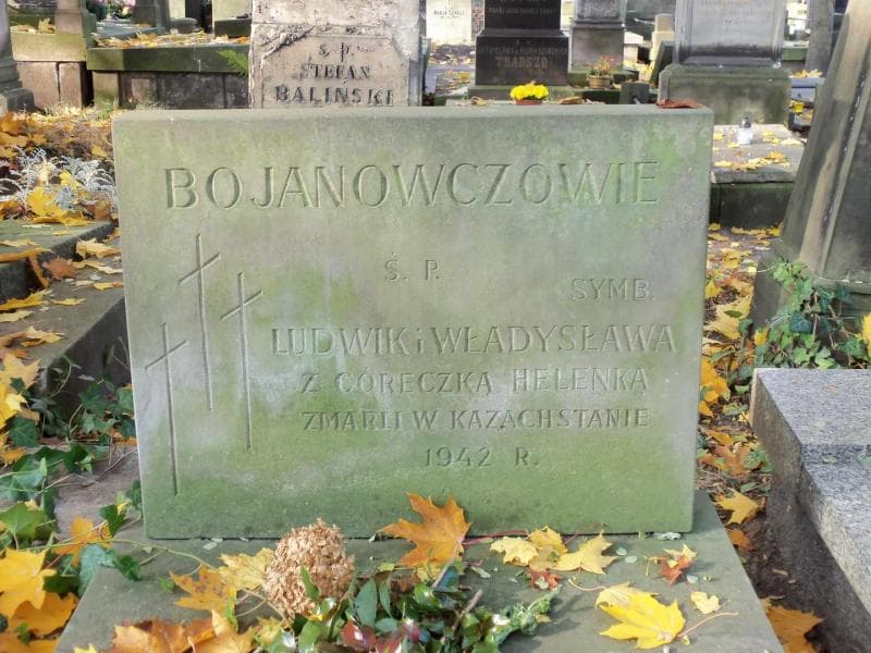 Zdjęcie grobu Teodor Bojanowicz (2)