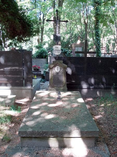 Zdjęcie grobu: Anna Lipińska