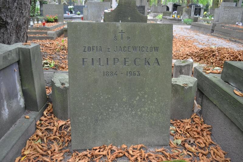Zdjęcie grobu Helena Chrościcka (1)
