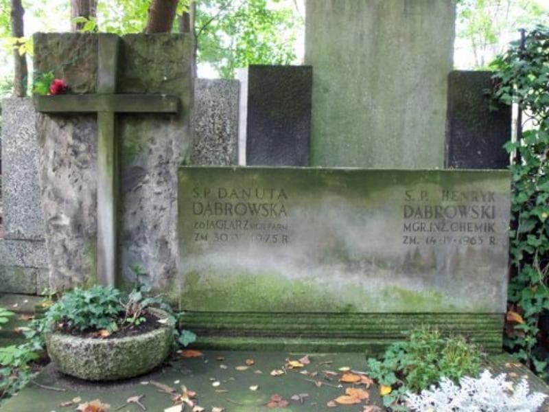 Zdjęcie grobu Danuta Dąbrowska (2)