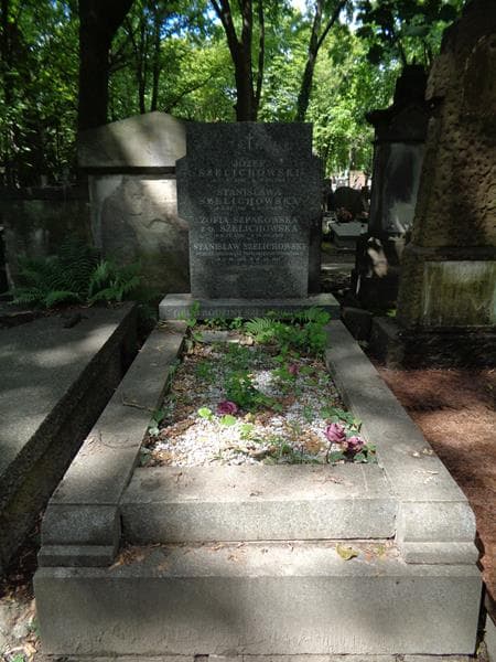 Zdjęcie grobu Stanisława Szelichowska (1)