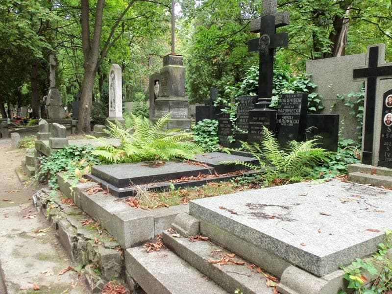 Zdjęcie grobu Wanda Malcowa (1)