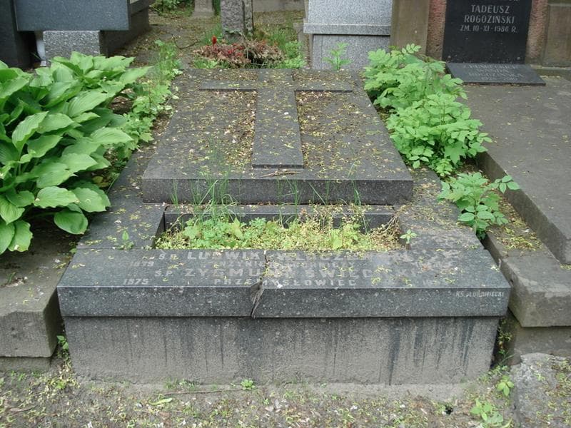 Zdjęcie grobu Ludwik Włoczewski (1)