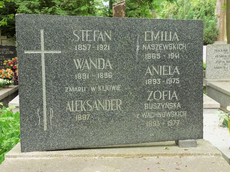 Zdjęcie grobu Stefan Fredro (2)