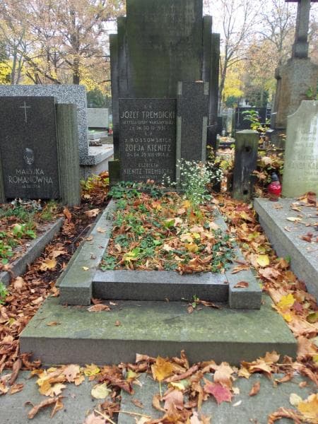 Zdjęcie grobu: Józef Trembicki