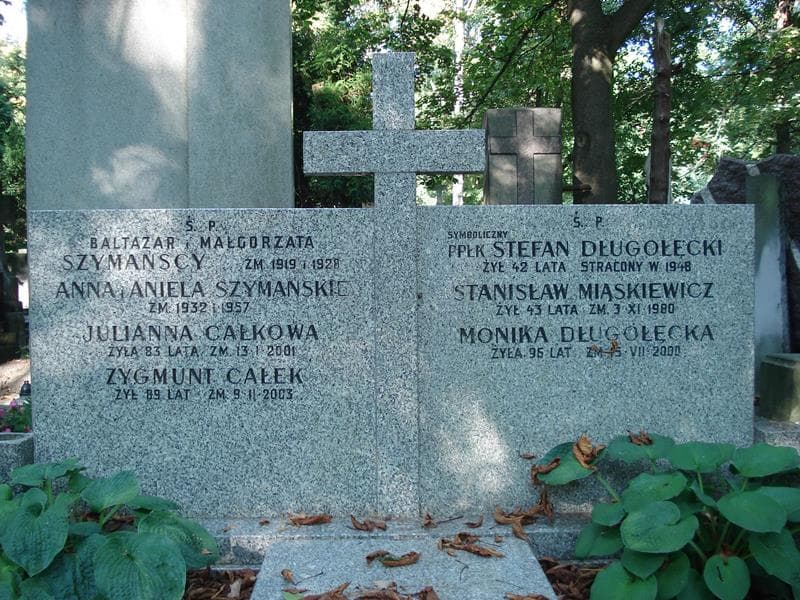 Zdjęcie grobu Stefan Długołęcki (2)