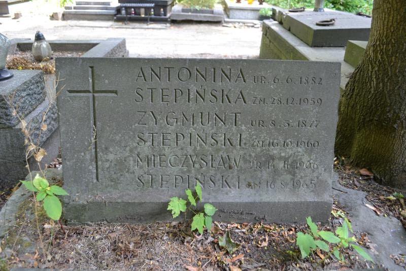 Zdjęcie grobu Zygmunt Stępiński (2)