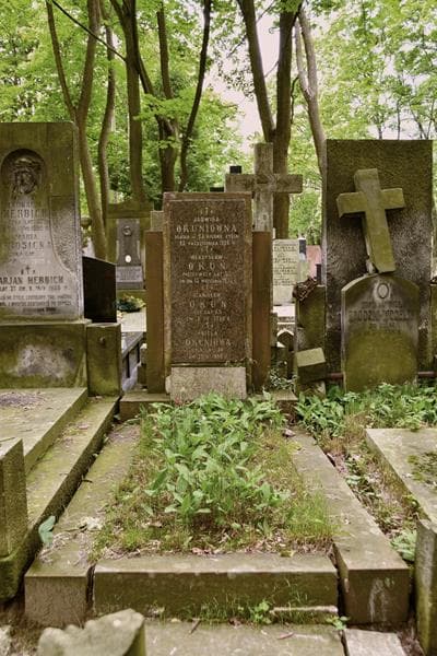 Zdjęcie grobu Jadwiga Okuniówna (1)
