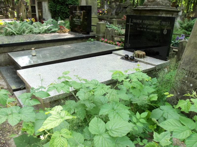 Zdjęcie grobu Zbigniew Andrzejowski (1)