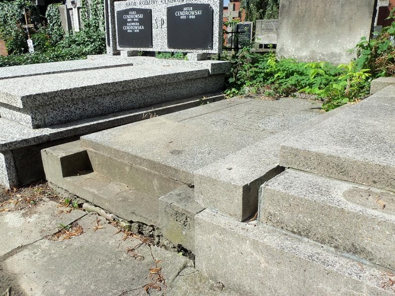 Zdjęcie grobu Maria Pluta (2)