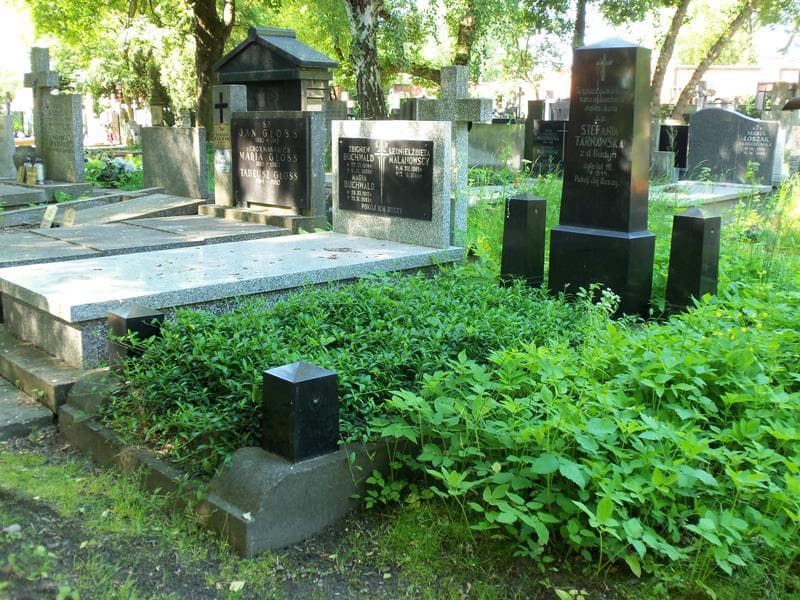 Zdjęcie grobu Stefania Tarnawska (1)
