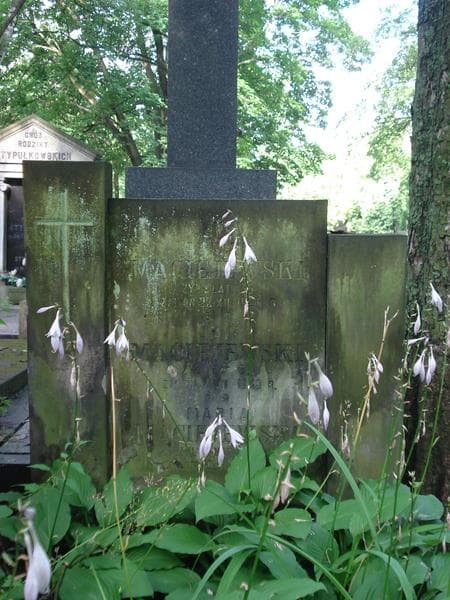 Zdjęcie grobu Jan Maciejewski (2)