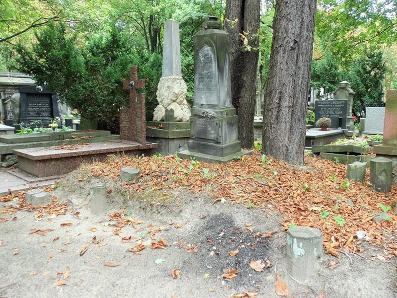 Zdjęcie grobu Aleksander Kurkowski (1)