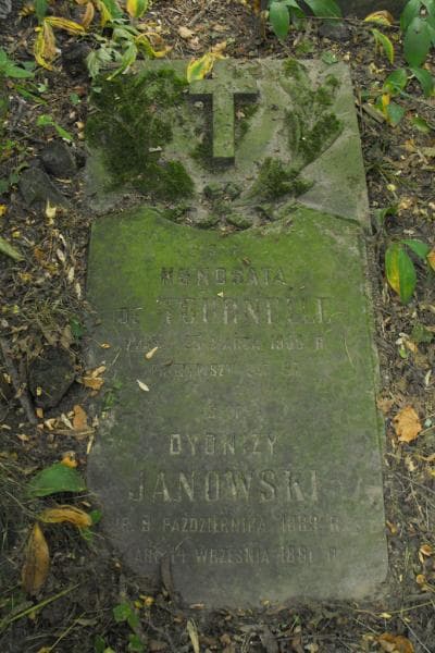 Zdjęcie grobu Dyonizy Janowski (1)