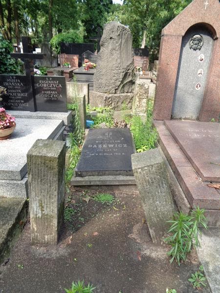 Zdjęcie grobu Władysław Bazewicz (1)