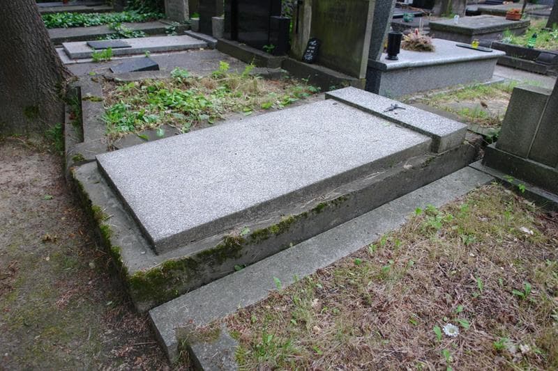 Zdjęcie grobu: Stanisław Domiński