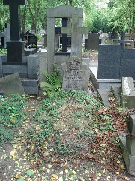 Zdjęcie grobu Józefa Kłonicka (1)