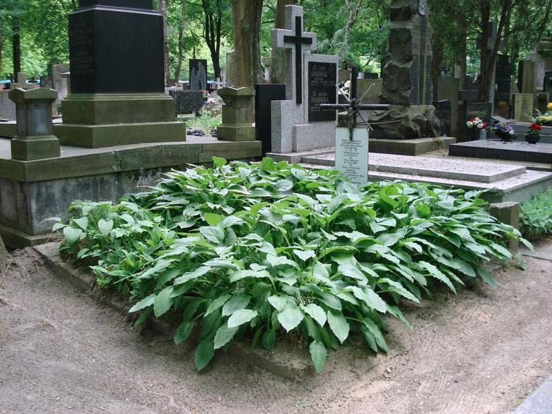 Zdjęcie grobu Maria Jankowska (1)