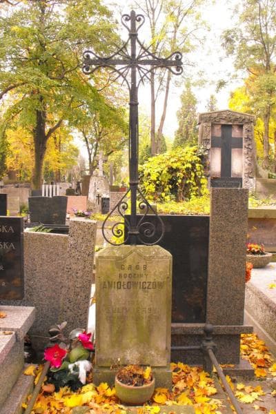 Zdjęcie grobu Aniołowiczowie (2)