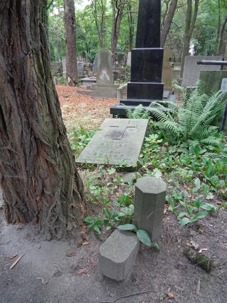Zdjęcie grobu Henryk Bullak (1)