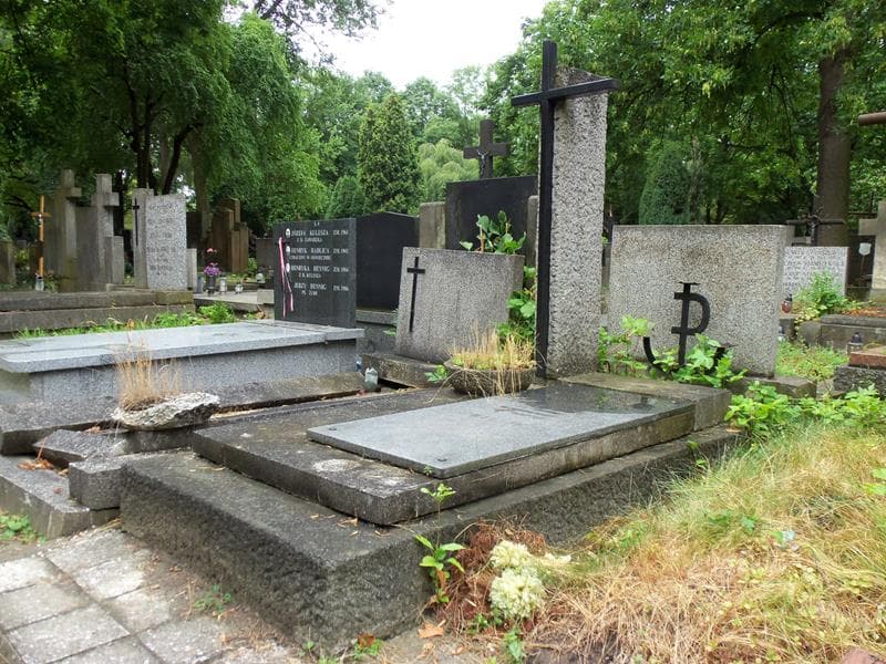 Zdjęcie grobu Jadwiga Tręda (1)